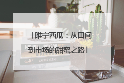 睢宁西瓜：从田间到市场的甜蜜之路