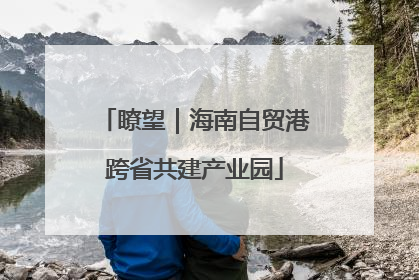 瞭望｜海南自贸港跨省共建产业园