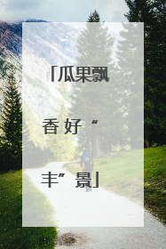 瓜果飘香 好“丰”景