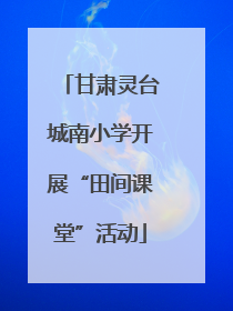 甘肃灵台城南小学开展“田间课堂”活动