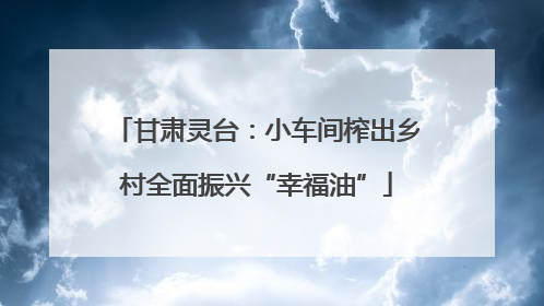 甘肃灵台：小车间榨出乡村全面振兴“幸福油”