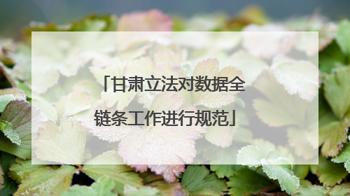 甘肃立法对数据全链条工作进行规范