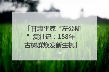 甘肃平凉“左公柳”复壮记：158年古树群焕发新生机