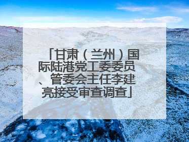 甘肃（兰州）国际陆港党工委委员、管委会主任李建亮接受审查调查