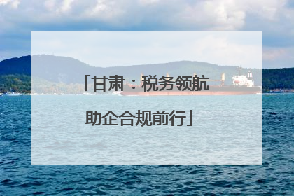 甘肃：税务领航 助企合规前行