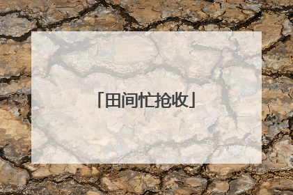 田间忙抢收