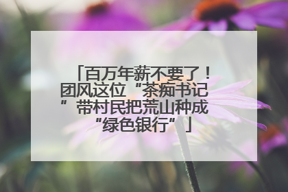 百万年薪不要了！团风这位“茶痴书记”带村民把荒山种成“绿色银行”