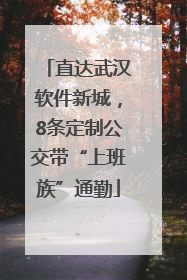 直达武汉软件新城，8条定制公交带“上班族”通勤