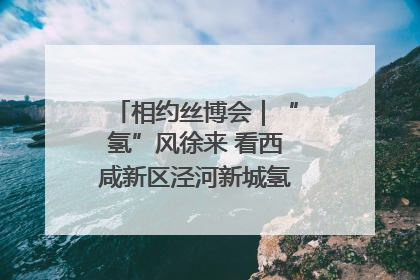 相约丝博会｜“氢”风徐来 看西咸新区泾河新城氢能产业聚链成势