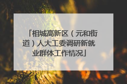 相城高新区（元和街道）人大工委调研新就业群体工作情况