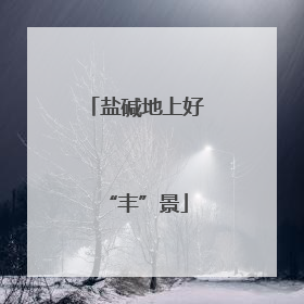 盐碱地上好“丰”景