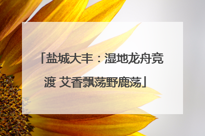 盐城大丰：湿地龙舟竞渡 艾香飘荡野鹿荡