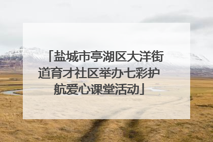 盐城市亭湖区大洋街道育才社区举办七彩护航爱心课堂活动