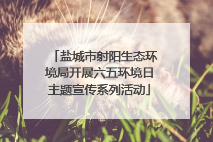 盐城市射阳生态环境局开展六五环境日主题宣传系列活动