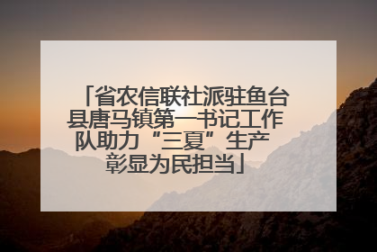省农信联社派驻鱼台县唐马镇第一书记工作队助力“三夏”生产 彰显为民担当