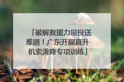 破解救援力量投送难题！广东开展直升机索滑降专项训练