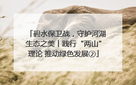 碧水保卫战，守护河湖生态之美丨践行“两山”理论 推动绿色发展②