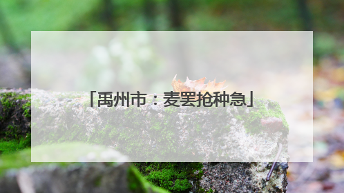 禹州市：麦罢抢种急