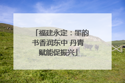 福建永定：墨韵书香润东中 丹青赋能促振兴