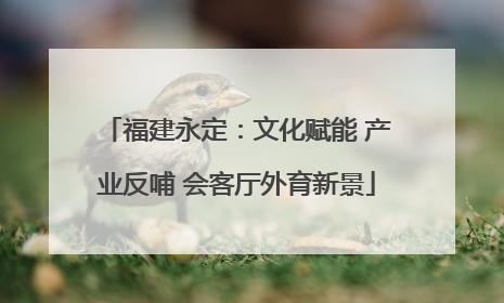 福建永定：文化赋能 产业反哺 会客厅外育新景