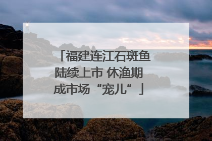福建连江石斑鱼陆续上市 休渔期成市场“宠儿”