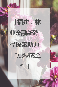 福建：林业金融新路径探索助力“点绿成金”