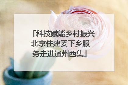科技赋能乡村振兴 北京住建委下乡服务走进通州西集