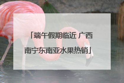 端午假期临近 广西南宁东南亚水果热销