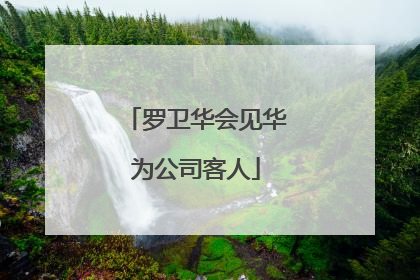 罗卫华会见华为公司客人