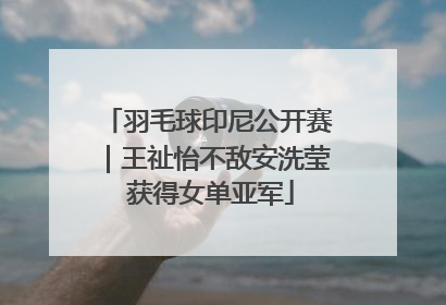 羽毛球印尼公开赛｜王祉怡不敌安洗莹 获得女单亚军
