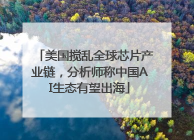 美国搅乱全球芯片产业链，分析师称中国AI生态有望出海