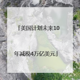 美国计划未来10年减税4万亿美元
