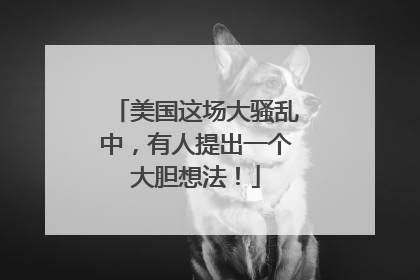 美国这场大骚乱中，有人提出一个大胆想法！