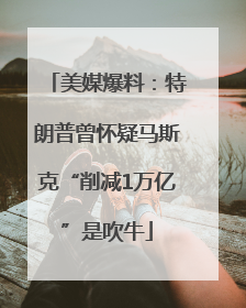 美媒爆料：特朗普曾怀疑马斯克“削减1万亿”是吹牛