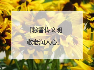 粽香传文明 敬老润人心