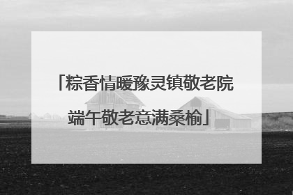 粽香情暖豫灵镇敬老院 端午敬老意满桑榆