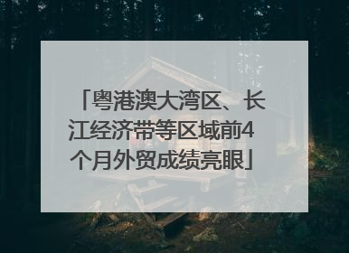 粤港澳大湾区、长江经济带等区域前4个月外贸成绩亮眼