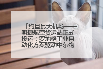 约旦最大机场——明捷航空货运站正式投运：罗地格工业自动化方案驱动中东物流未来新航向