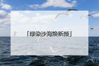 绿染沙海焕新颜