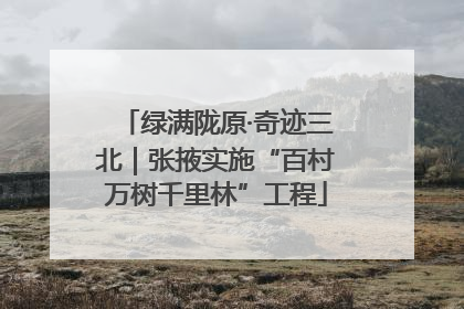 绿满陇原·奇迹三北｜张掖实施“百村万树千里林”工程