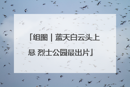 组图｜蓝天白云头上悬 烈士公园最出片