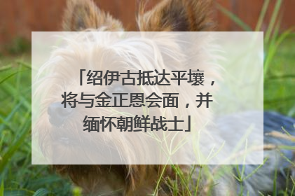 绍伊古抵达平壤，将与金正恩会面，并缅怀朝鲜战士