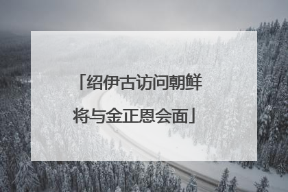绍伊古访问朝鲜 将与金正恩会面