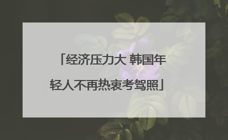 经济压力大 韩国年轻人不再热衷考驾照