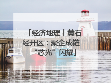 经济地理丨黄石经开区：聚企成链“芯光”闪耀