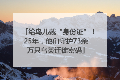 给鸟儿戴“身份证”！25年，他们守护73余万只鸟类迁徙密码