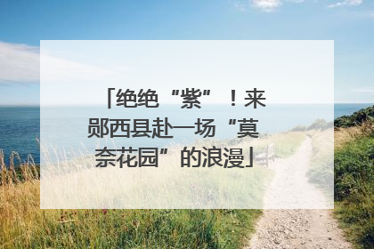 绝绝“紫”！来郧西县赴一场“莫奈花园”的浪漫