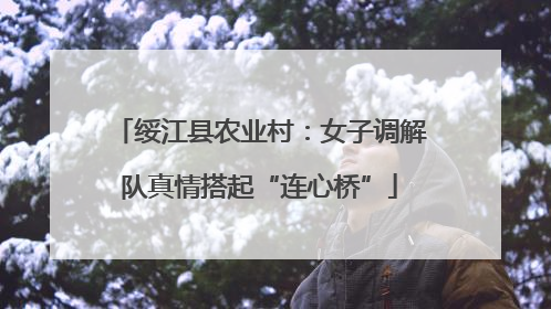 绥江县农业村：女子调解队真情搭起“连心桥”