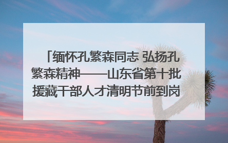 缅怀孔繁森同志 弘扬孔繁森精神——山东省第十批援藏干部人才清明节前到岗巴县开展党性教育