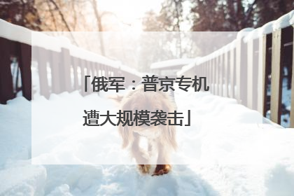俄军：普京专机遭大规模袭击